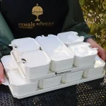 اردوخوری 16 پارچه پرسلن Arow ترکیه مدل TR-2720